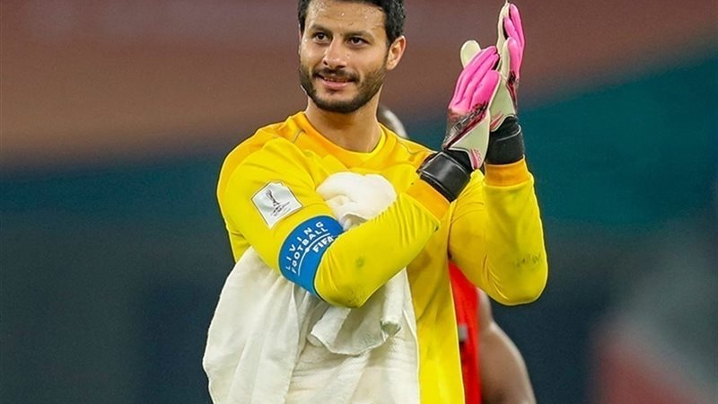الشناوي