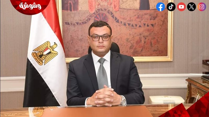 المهندس شريف الشربيني