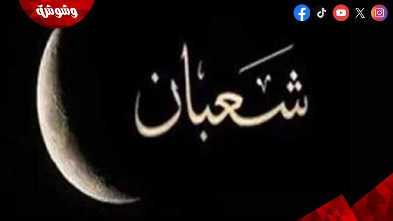 ارشيفية